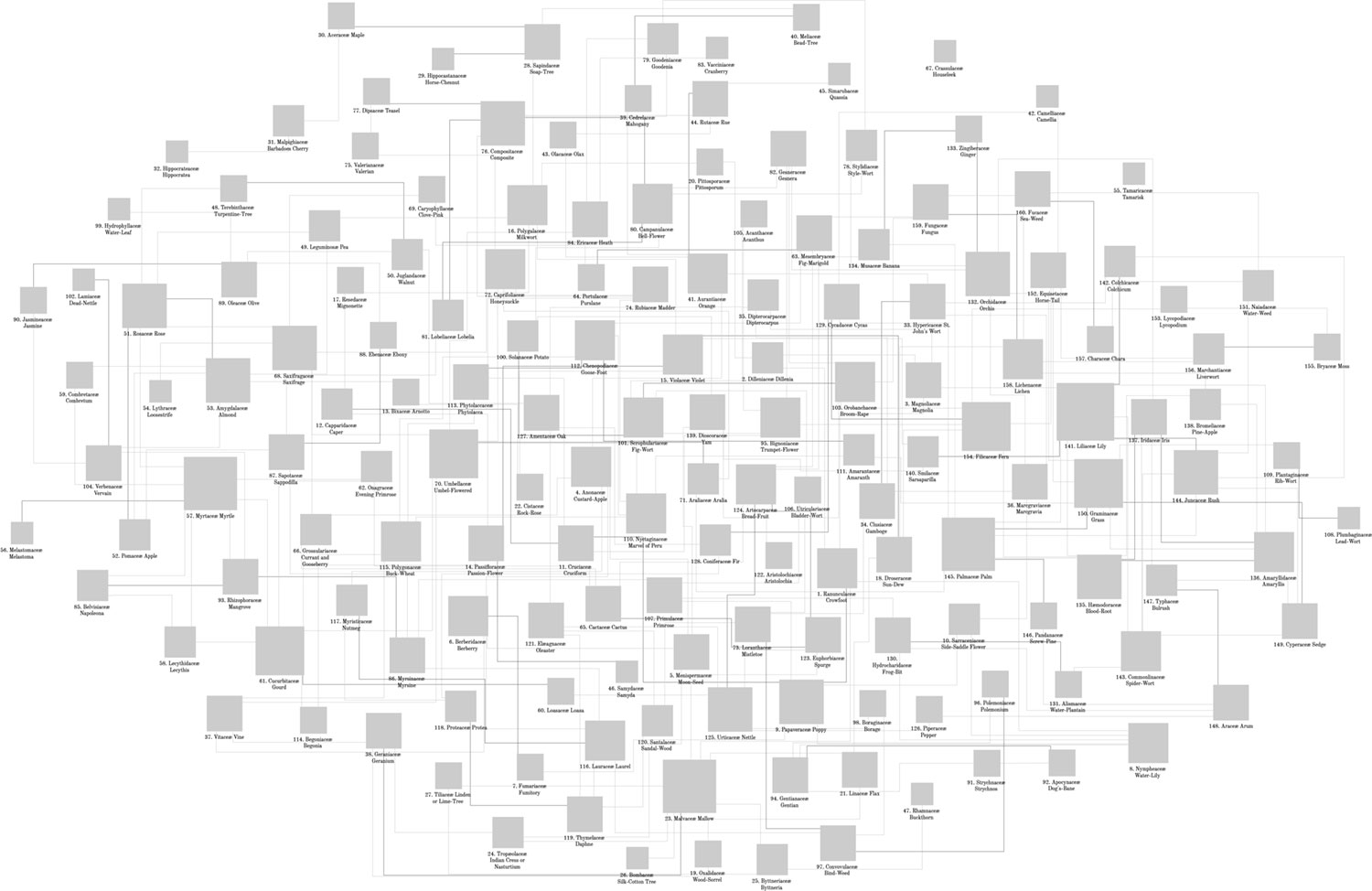 Initial export from Cytoscape
