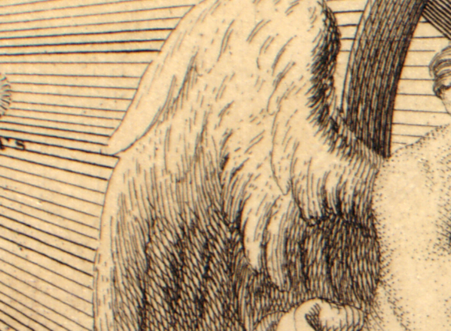 Wing