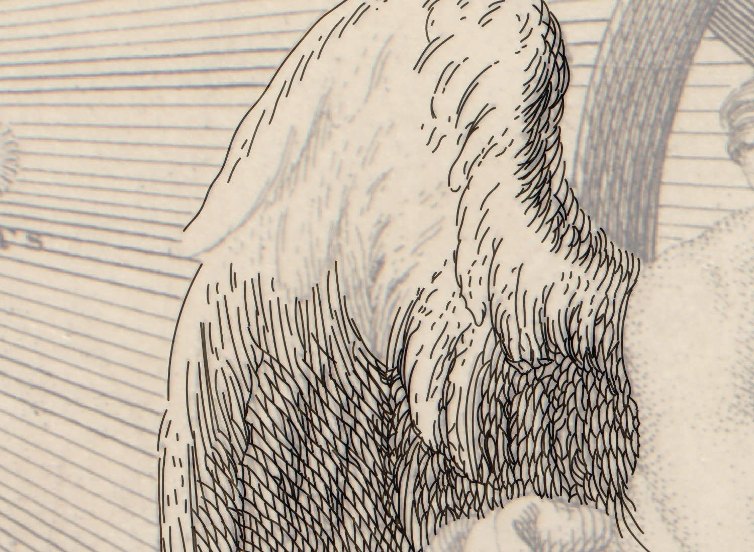 Wing