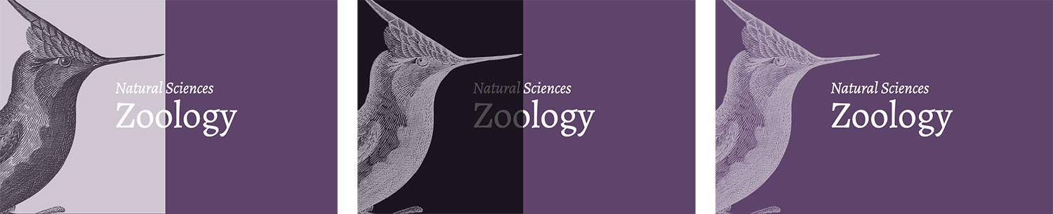 Zoology link