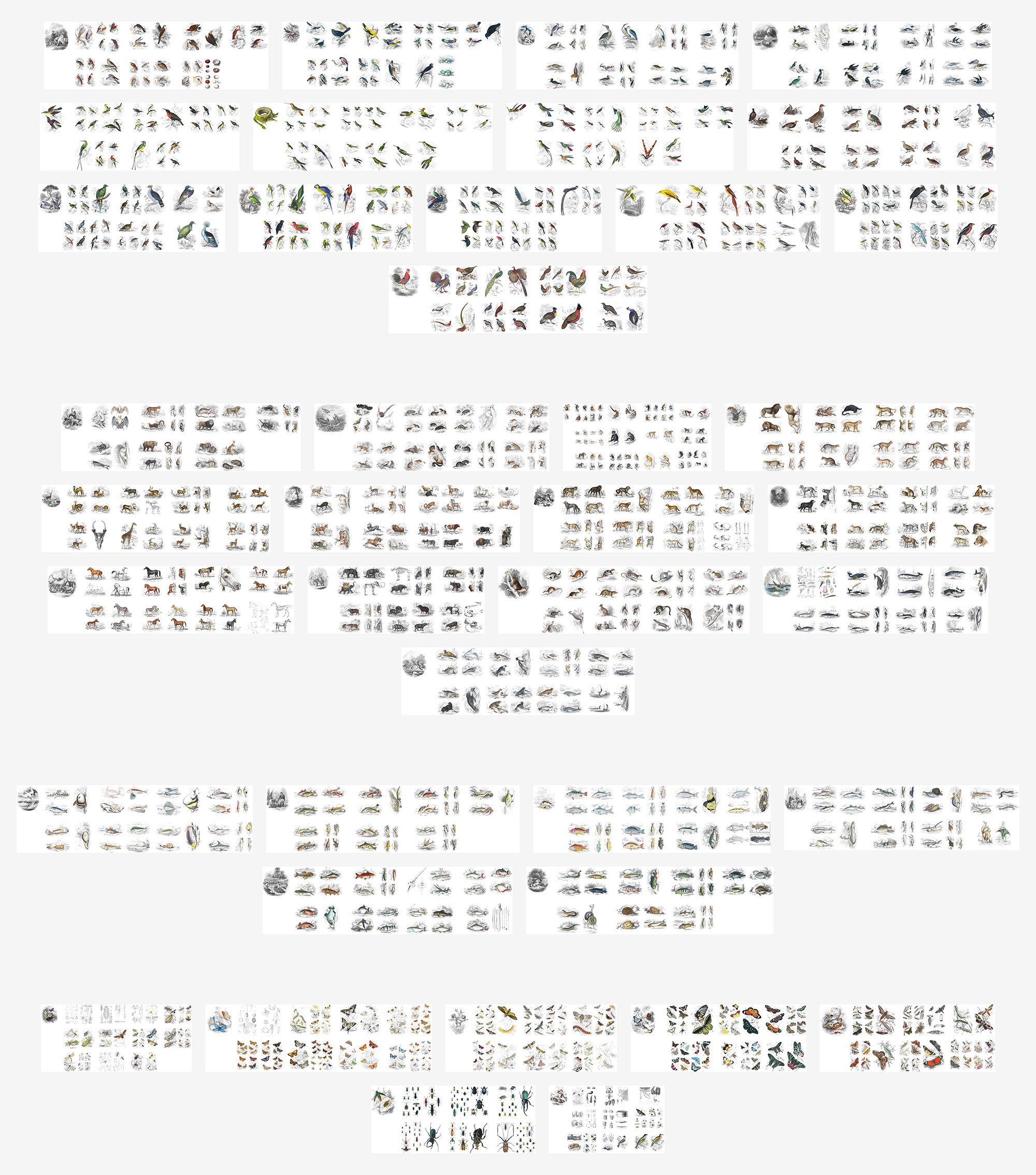 Book layouts final