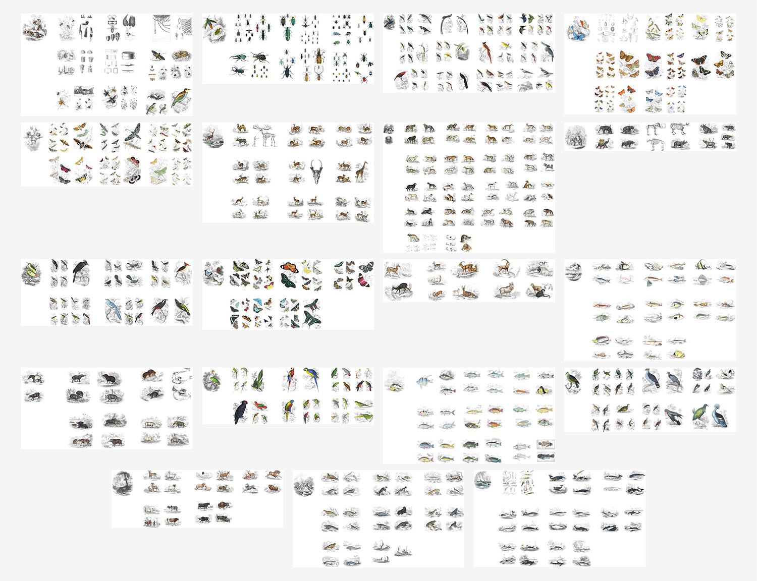 Page layouts