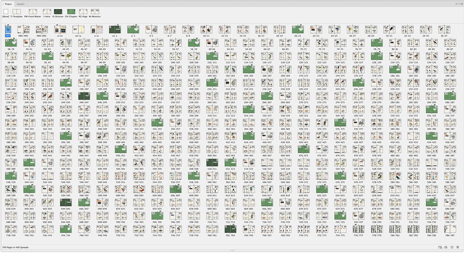 Book pages