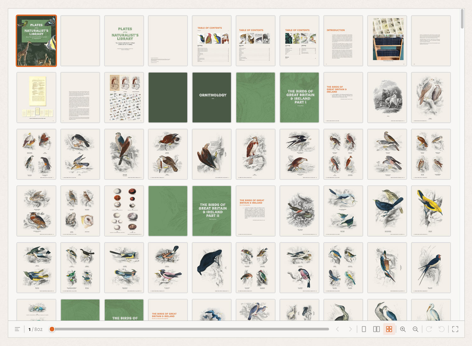 Book preview