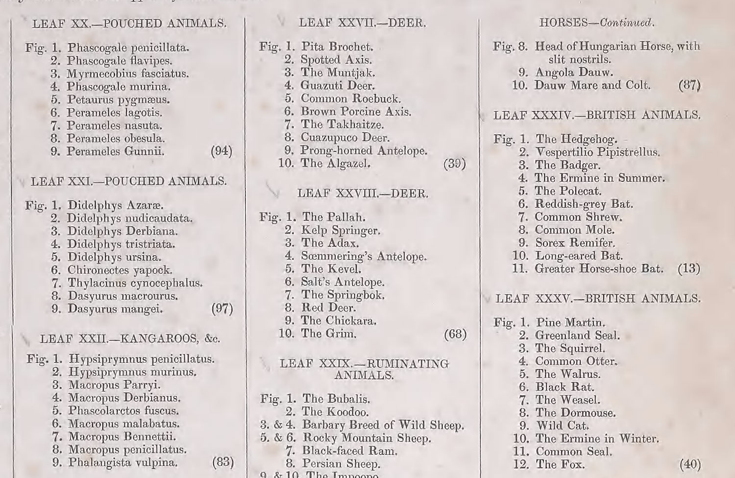 Table of contents