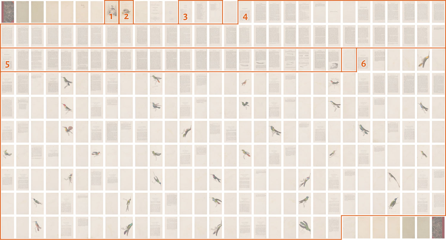 Pages