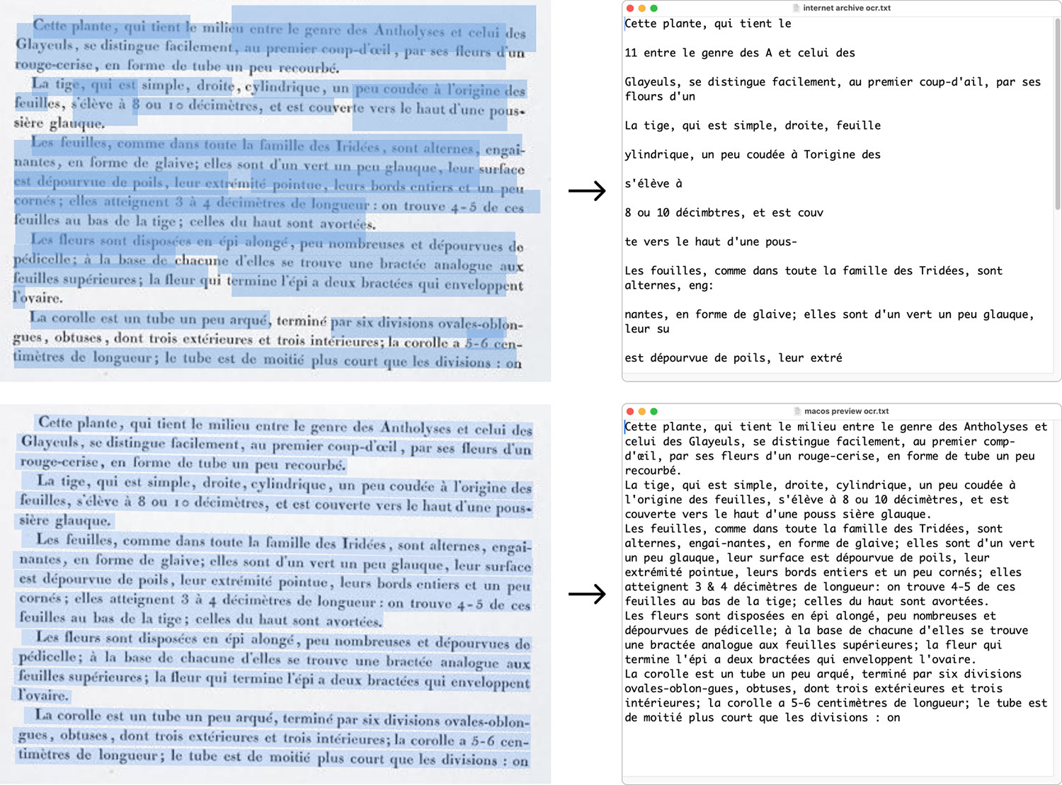 OCR comparison