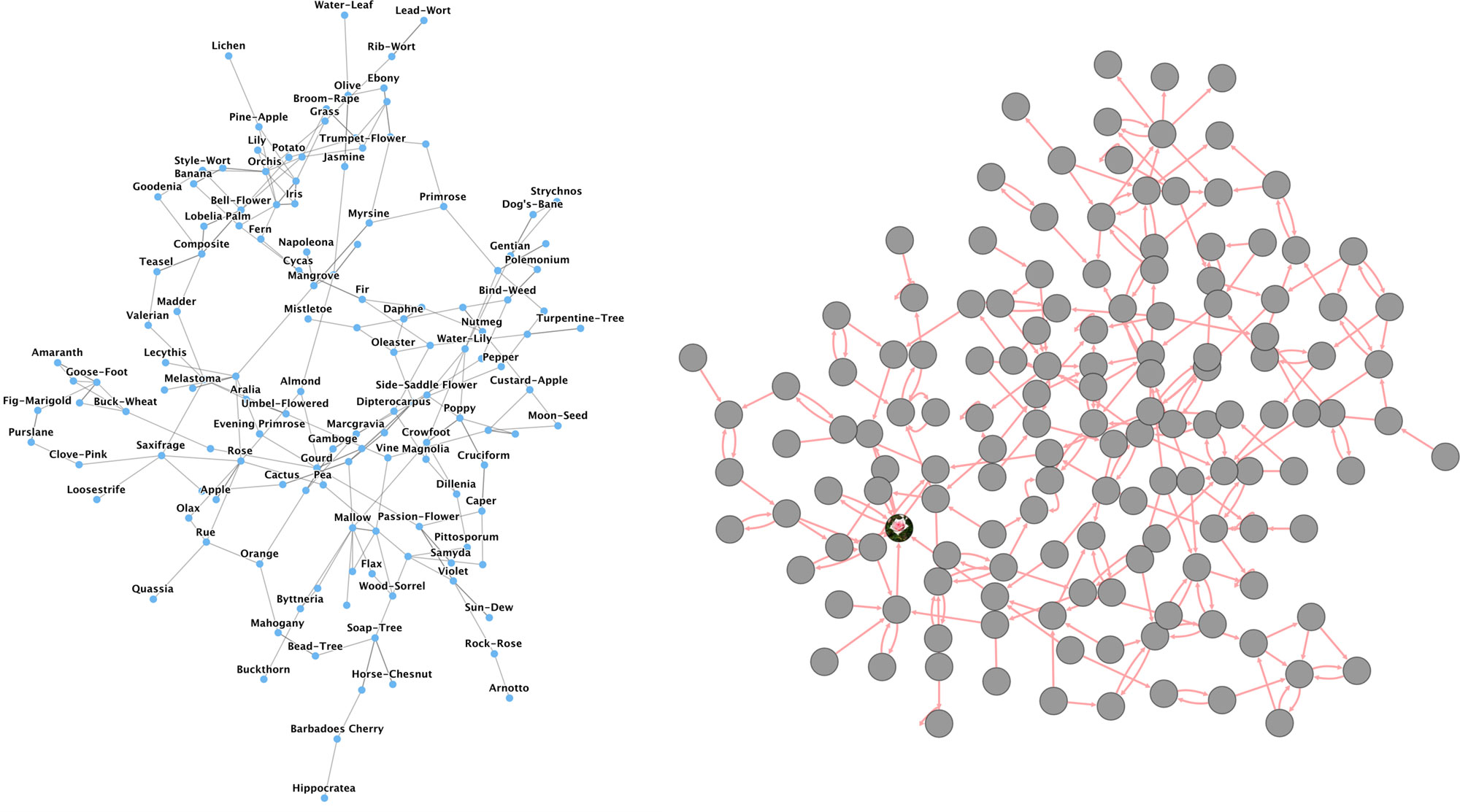 Early examples of messy network graphs