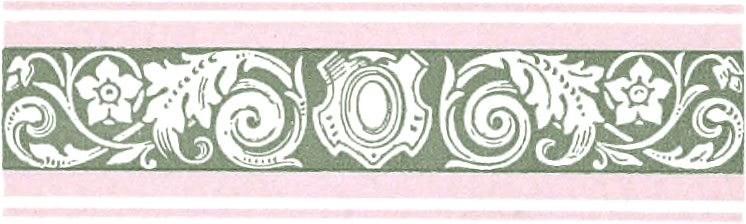Ornate border comprising olive and light pink colors