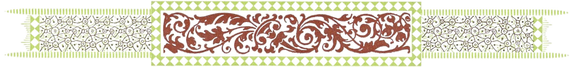 Ornate border comprising reddish-brown and light green colors