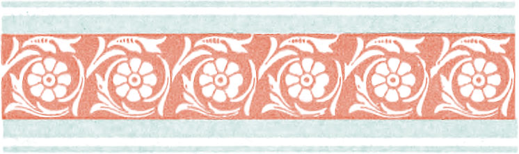 Ornate border comprising coral and light blue colors