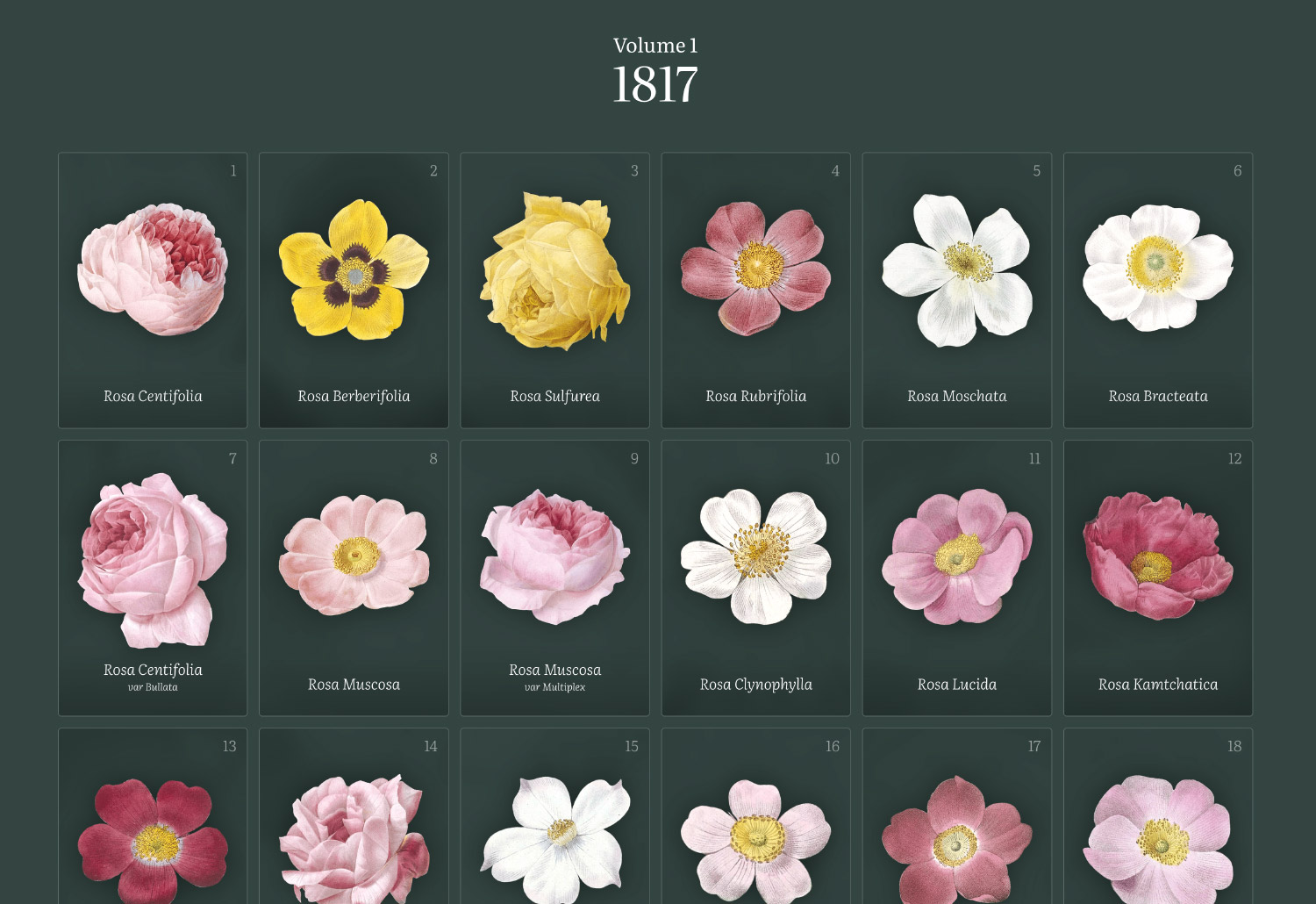 Screenshot of roses thumbnails