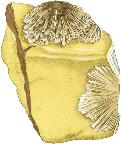 Stellated Sulphate of Barytes