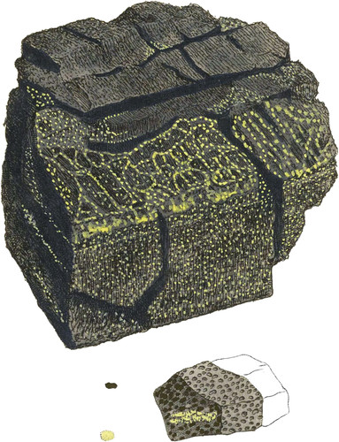 Oxide of Carbon, or Coak