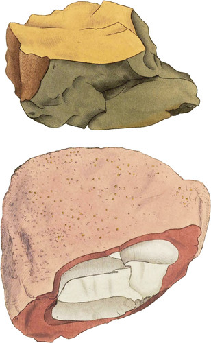 fuller-s-earth-british-exotic-mineralogy