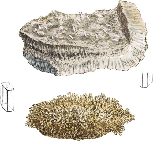 Stilbite, or Foliated Zeolite