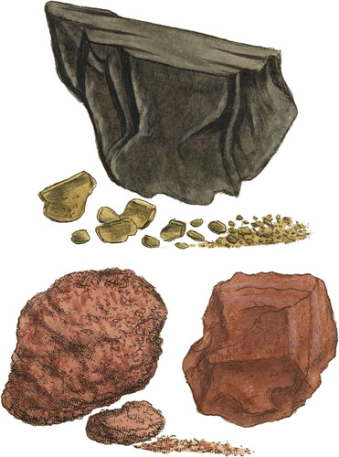 The Alluvial Depositions forming Soils