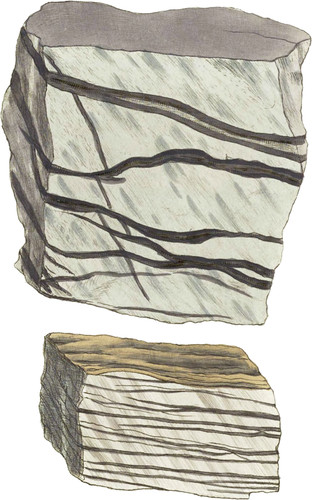 Oxide of Tin (in veins in Schist or Killas)