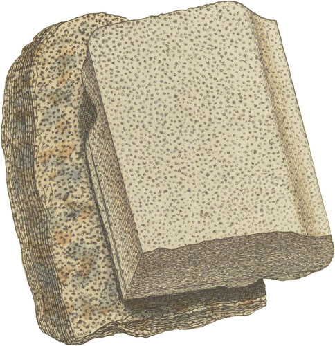 Common Argillaceous Slate, or Schistus