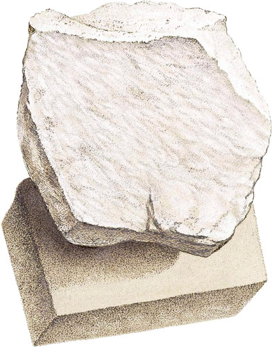 Calx carbonata, magnesiata
