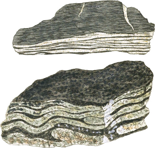 Gneiss