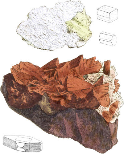 Ichthyopthalmite