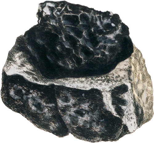 Chromate of Iron, or chomiferous Oxide of Iron