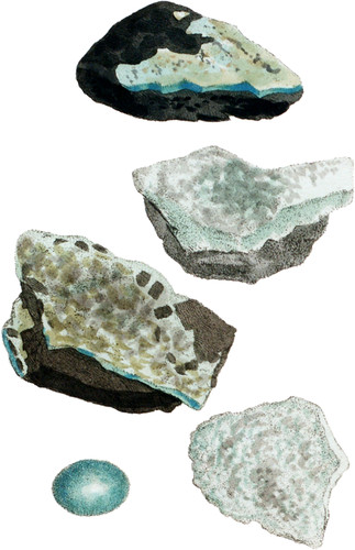 Birjusa (Turquoise)