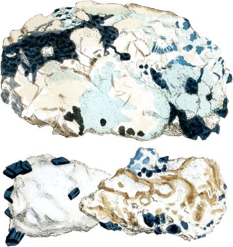 Carbonate of Magnesia