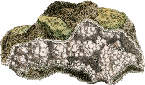 Botryoidal Datholite, or, Botryolite