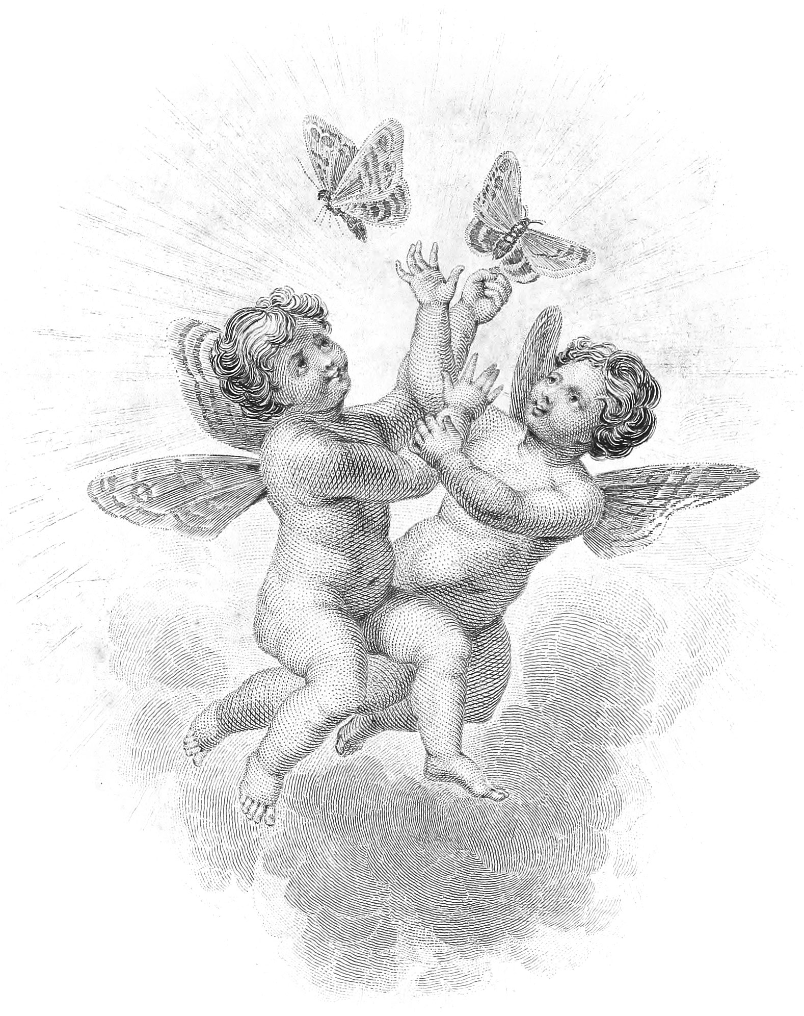 Vignette