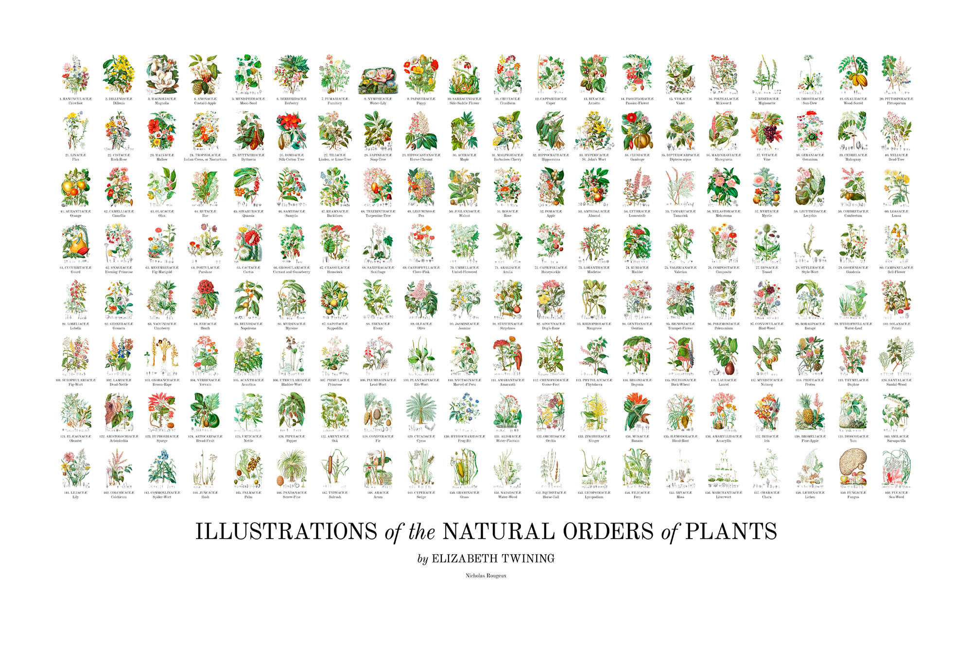 Poster of all 160 illustrations