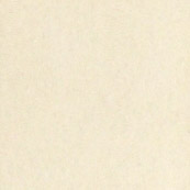 Reddish White swatch