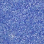 Ultramarine Blue swatch