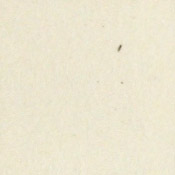 Purplish White swatch