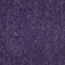 Plum Purple