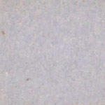 Red Lilac Purple swatch