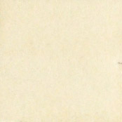 Orange coloured White swatch