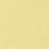 Primrose Yellow swatch