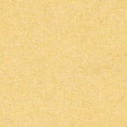 Sienna Yellow swatch