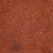 Brownish Orange swatch